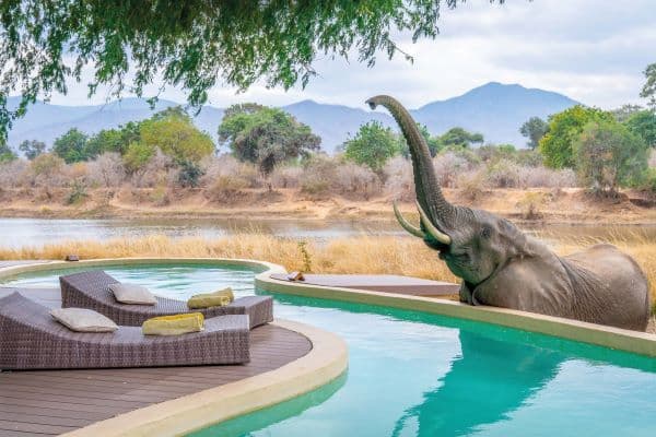 Amboseli